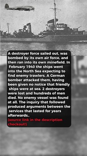 Their Own Aircraft Bombed Them, Then Their Own Mines #short #history #ww2