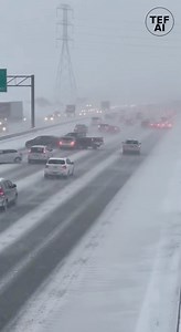 700K views · 519 reactions | Traffic camera footage recorded on a...