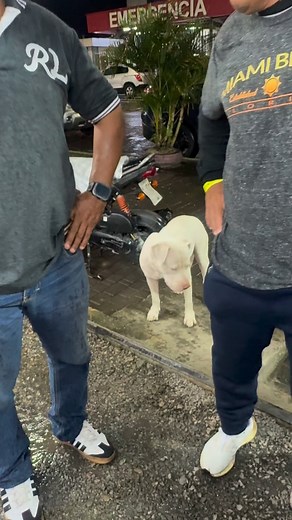 54K views · 122K reactions | Aquí no le niego un platito de comida a nadie y peor en esta noche lluviosa #fblifestyle #Tena #Orellana #ecuatorianosenelmundo #ecuatorianosennewyork #mexico #mexicanosenusa #latinosenestadosunidos #cocina #recetasfaciles #recetas #Ecuador #españa #usa #miami #londres #China #viralreelschallenge #quito #guayas #manta #PuyoPastaza #bañosdeaguasanta #riobamba_chimborazo_ecuador #CuencaEcuador | Abuelita Carmen | Facebook