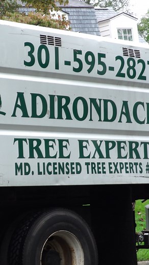 24 reactions | Our team includes 15 licensed tree experts and 9 certified arborists. That’s the difference between done and done right.  Book your assessment today (301) 595-2827 #certifiedarborist #licensedtreeexpert #adirondacktreeexperts #treework #pgcounty #treeservice #montgomerycounty | Adirondack Tree Experts | Facebook