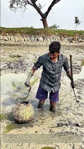 Probing Muddy Ponds: How Traditional Hand-Fishing Sustains Rural Livelihoods in South Asia