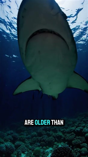 This Creature is Older Than TREES! 🦈🌳