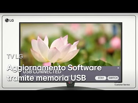 [LG TV] How to update the TV software with USB memory card