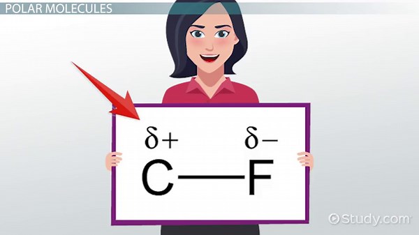 Compound Solubility in Water | Overview & Examples