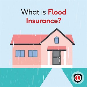 12K views · 11 reactions | Since there is a waiting period for #floodinsurance, consider talking to an experienced agent from InsureOne today. Call us at 800-549-1476 | InsureOne | Facebook