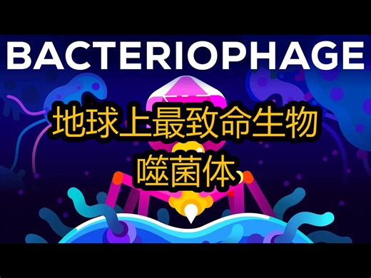 【中配】地球上最致命生物：噬菌体 - Kurzgesagt – In a Nutshell
