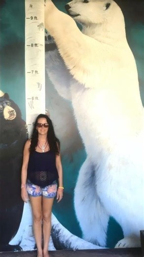 The Polar Bear Makes the Grizzly Look Tiny in Comparison