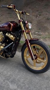 1.7K reactions · 193 shares | One legit Harley-Davidson M8 Softail custom motorcycle build from @_diamond_lane_cycles_official • ⬇️ F O L L O W ⬇️ @vtwindaily @vtwinvisionary • #vtwinvisionary #vtwindaily #harleydavidson #harley #motorcycle #daily #news #product #testing #video #review #parts #accessories #riding #gear #biker #clothing #harleycommunity #instabiker #harleygram #instaharley #harleyrider #harleyriders #bagger #dyna #fxr #softail | Vtwin Visionary | Facebook