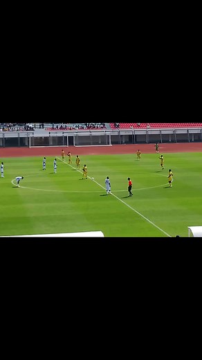 C'est parti entre guépard Jaune et Guépard blanc | Pepe Vilard