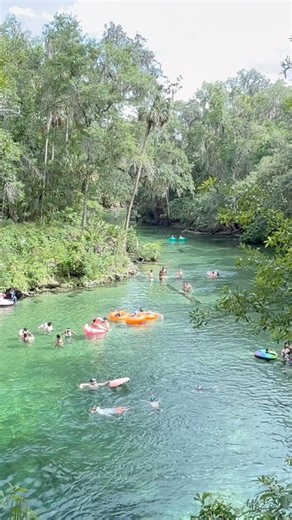 Summer swimming 🏊‍♀️ fun 🤩