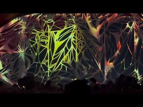 dan andrei // sw35 +