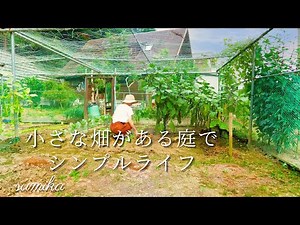 日本の田舎のスローライフ🌲｜2拠点生活で心と体にメリハリを｜お届けしたい日本の景色🌲初めてのスパイスカレー