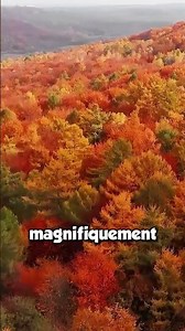 Un NOUVEAU BIOME COLORÉ arrive sur MINECRAFT ! 😯