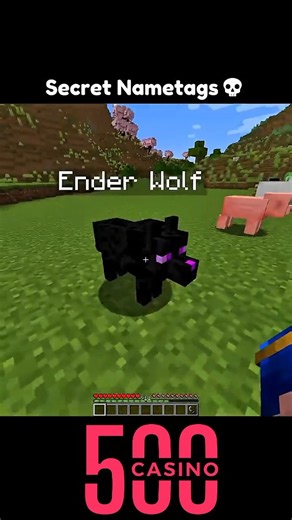 12K views · 906 reactions | Secret name tag of Minecraft #minecraft | Psgmafia1 | Facebook