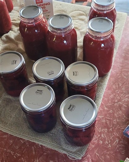I used ForJar lids for the first time yesterday. Today, the results are in: Every jar sealed perfectly. I love that these are available in bulk from the manufacturer; this saves me money and makes it easy to prep for harvesting season. Unlike modern Ball/Bernardin/Kerr lids, ForJar lids do need simmering before use, so I'm kicking myself that I got rid of my magnetic lid lifter! 😀 Ah, well. They are cheap! You may have heard that ForJar lids have to be aligned "just so" on canning jars. I did n