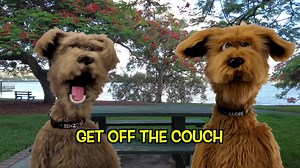 The Underdogs Love The Ting Tings The Ting Tings Dogs 101 Dog Bless You Hotel for Dogs Purina Dog Chow Watch Dogs Cats & Dogs Puppies PuppySpot | The Underdogs Show