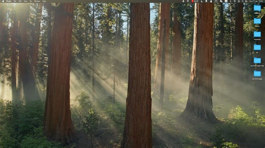 幼儿园前端 #01：HTML vs CSS 是什么？