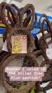 139K views · 641 reactions |  Easter is only a few months away & it’s great to scout out some good deals ahead of time before it gets picked over! Loving the selection in Dollar Tree Plus! I’m definitely grabbing some of those $5 grapevine bunnies!!  #easterdecor #eastercrafts #springcrafts #springdecor #dollartreecrafts #dollartreefinds | Hammons Nest | Facebook