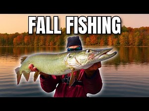 Fishing Fall Musky in Ontario (CANADA)