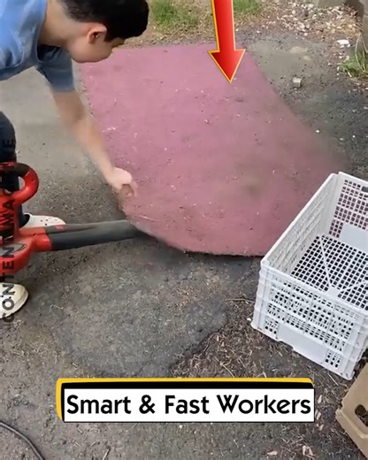 25K views · 88 reactions | Smart & Fast Workers | Content Machine | Facebook