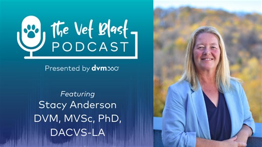 The distributed model of veterinary school | dvm360