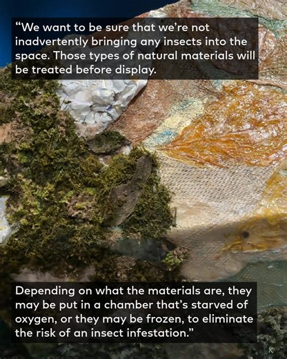 SFMOMA San Francisco Museum of Modern Art on Reels