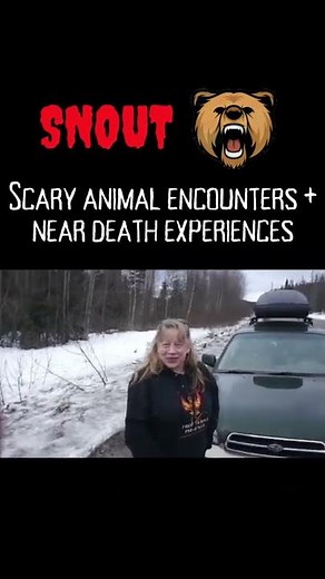 When you're surrounded by wolves 🐺 | Scary Animal Encounter