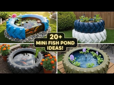 20+ Mini Fish Pond Ideas