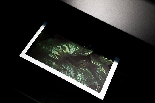 Les 5 meilleure imprimantes à transfert thermique