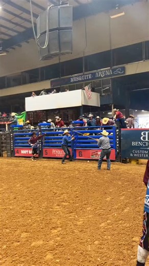 #bullriding #bull #rodeo | Bull Riding