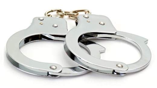 Edison man had dead animals in home, charged with animal cruelty, police say