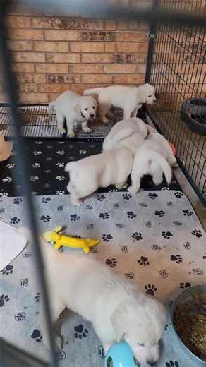 1K views | Barbara Washburn Lavarnway on Reels | Facebook