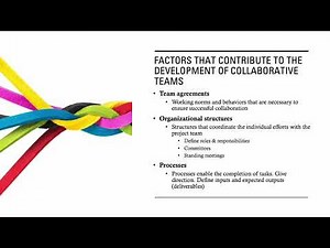 PMBOK7_The 12 Project Management Principles