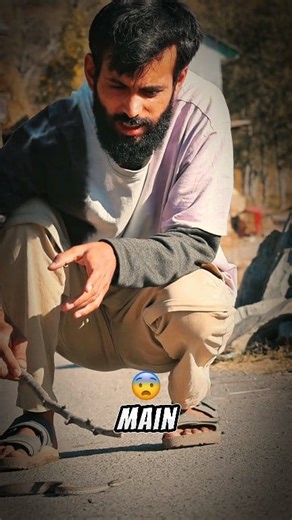 3.8K views · 30 reactions | Rescued a Himalayan Russell Viper . . . . #wildlifephotography #reels #reelsinstagram #fblifestyle #travel #snake #birdphotography | Ayoub Nayiak Wildlife Photographer | Facebook