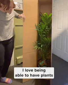 4.4K reactions · 766 shares | Stop killing plants... Transform your space with easyplant's self-watering plants! 華 These low-maintenance beauties make it easy to bring a touch of nature indoors, even if you don't have the greenest thumb. Don't miss out on the chance to add some life to your home or office! | Mixtiles Decor Ideas | Facebook