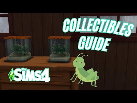 🐜🦋 How to Collect Insects (Sims 4 Collection Guide)