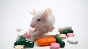 Animal Testing Alternatives (Ultimate Guide) - Cruelty Free Soul