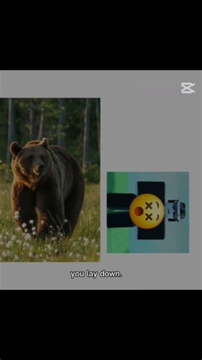 golden freddy sal de ahi esa no es tu familia #gacha #ocs #memes #gachanebula #humor #doublefedora