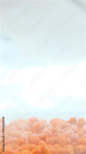 Vertical video shows orange sea buckthorn berries exposed to cold airflow in a freezer. Frost rapidly freezes berries, preserving properties for sea buckthorn aerosol used to treat thermal skin burns.