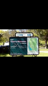 High Park is Toronto's largest public park with hiking trails & so many different plants, trees, flowers, ponds and wildlifes. | Health Inspector's Notebook | Facebook