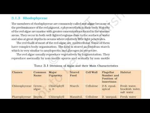 Class 11 Biology Chapter 3 | Plant kingdom | NCERT Audio | NEET Revision