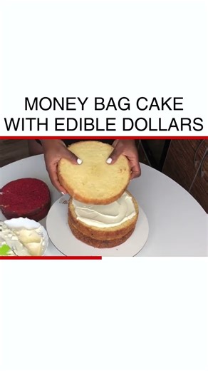 Amazing Money Bag Cake with Edible Dollars Creation Tutorial #Baking #EdibleArt