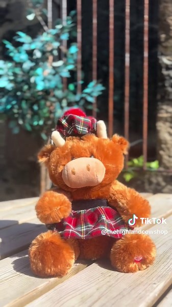 Discover Our Singing Cows at The Highland Cow Shop