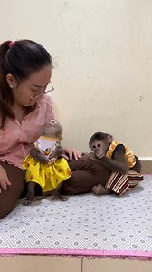 #reel #monkey | Lovely Baby Monkey