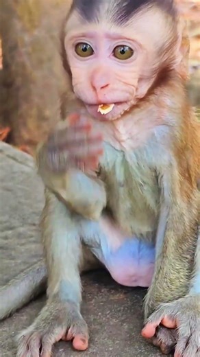 Beautiful Mom & baby Beautiful Animals Relaxing & Stress Relief
