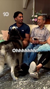 First look 📺 CATCH us tonight and GIVE those plans a break 🐶 #GoggleboxAU | 7.30 Tonight on Channel 10 | Watch Stream Free | Gogglebox Australia