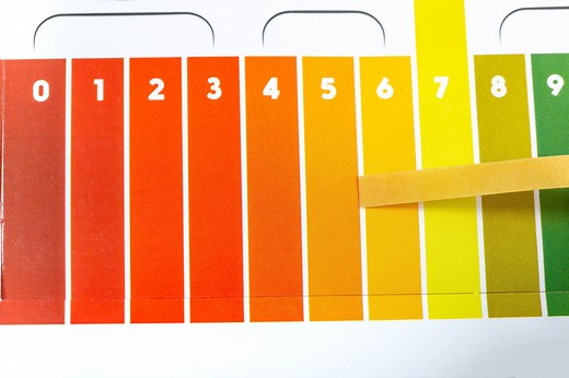 O que é o pH do solo e qual a sua importância?