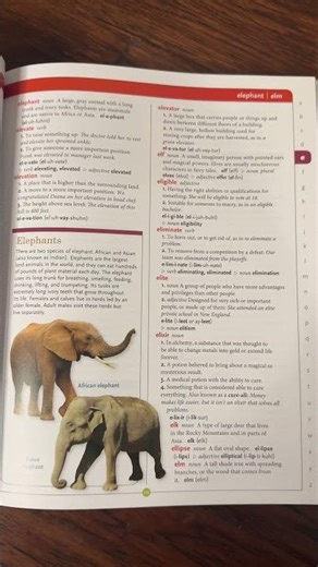 Kids Dictionary Book Review Illustrated Word Meanings