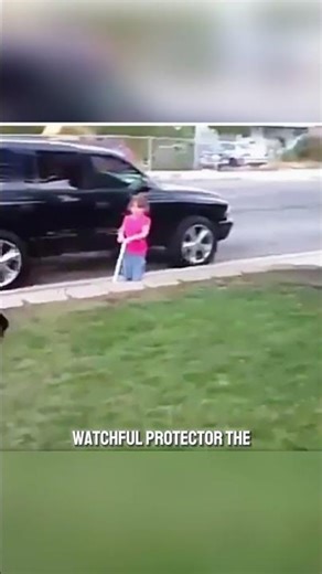 Doberman Protects Little Girl | Incredible Guardian Instincts