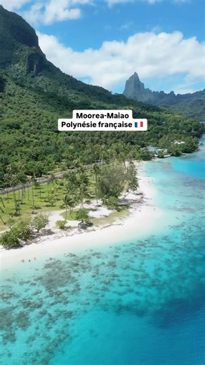 On a découvert l’île spectaculaire de Moorea avec @gouduboy un véritable trésor caché au cœur de la Polynésie française 🌴🌊 Située à seulement quelques kilomètres de Tahiti, Moorea séduit par ses paysages à la fois sauvages et paradisiaques. L’île est formée par un ancien volcan, dont les pics escarpés plongent dans un lagon aux eaux turquoise, peuplées de raies, de tortues et de poissons multicolores. 🐢🏝️ Un lieu magique où le temps semble suspendu, parfait pour se déconnecter du monde et s’